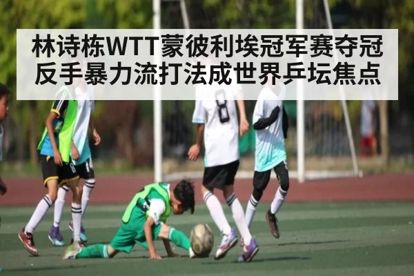 林诗栋WTT蒙彼利埃冠军赛夺冠 反手暴力流打法成世界乒坛焦点